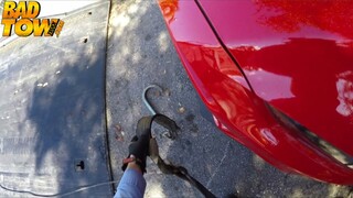 Shaved pussy blonde takes rough car sex - лучшее порно 24/7 на HOTSEXVIDEOS24.COM