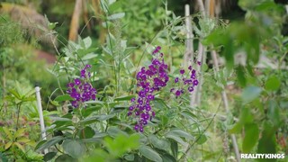 Cowgirl Fucking in the Greenhouse - лучшее порно 24/7 на HOTSEXVIDEOS24.COM