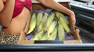 Cob Dick Sucking Sensation - лучшее порно 24/7 на HOTSEXVIDEOS24.COM