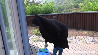 Hijab Maid Licky Lex Makes Her Boss Happy - лучшее порно 24/7 на HOTSEXVIDEOS24.COM